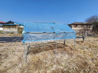 강동신님의 포도 · 영농일지 작성글 사진