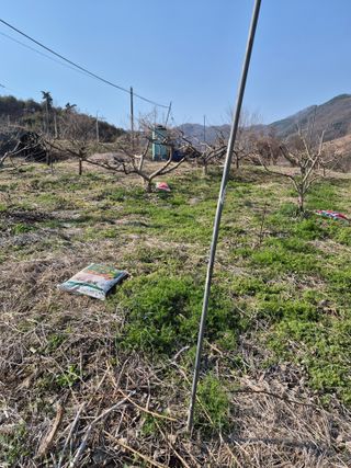 허민성님의 기타작물 · 영농일지 작성글 사진