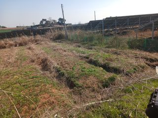 블루하늘TV님의 감자 · 영농일지 작성글 사진