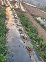 주병민님의 작성글 사진