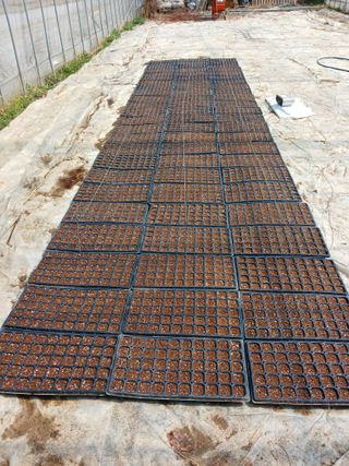 문명훈님의 호박 · 영농일지 작성글 사진