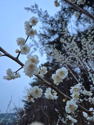 행복하게~님의 기타작물 · 영농일지 작성글 사진