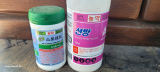 서대산향수님의 포도 · 영농일지 작성글 사진