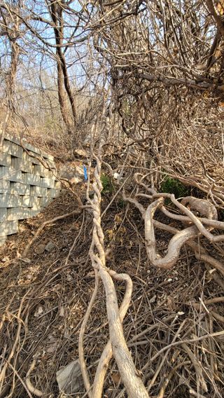 서초농원님의 기타작물 · 영농일지 작성글 사진