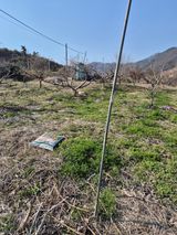 팜모닝 기타작물·영농일지 게시글 이미지