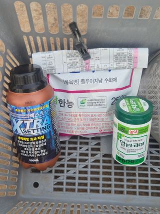 조성민님의 자두 · 영농일지 작성글 사진