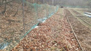 서초농원님의 기타작물 · 영농일지 작성글 사진