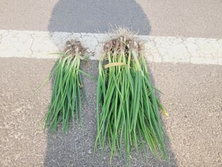 한경훈님의 작성글 사진