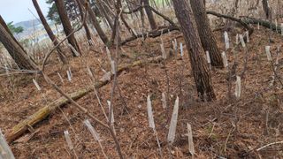 이철수님의 기타작물 · 영농일지 작성글 사진