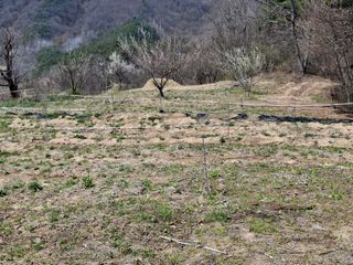 형남영님의 기타작물 · 영농일지 작성글 사진