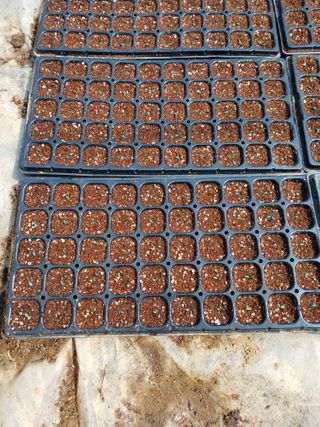 문명훈님의 호박 · 영농일지 작성글 사진