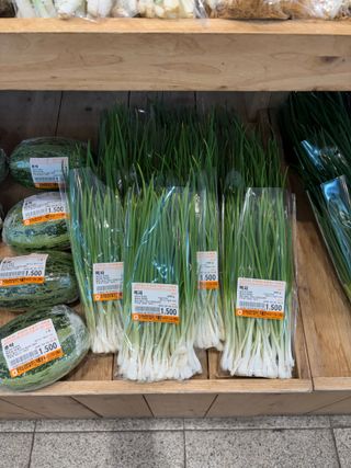 김영완님의 파 · 영농일지 작성글 사진