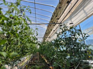 늘햇살팜 님의 기타작물 · 영농일지 작성글 사진