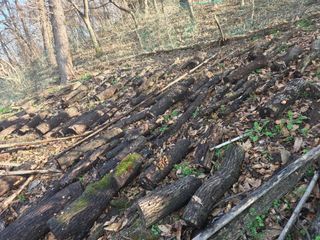 한상훈님의 작성글 사진