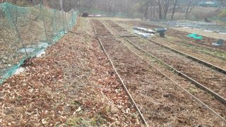 서초농원님의 작성글 사진