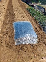 마늘14470님의 작성글 사진