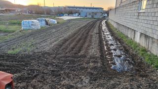 김동명님의 기타작물 · 영농일지 작성글 사진