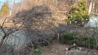 서초농원님의 기타작물 · 영농일지 작성글 사진