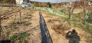 귤8352님의 작성글 사진