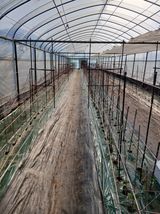 두릅나무16138님의 작성글 사진