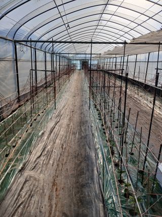 두릅나무16138님의 기타작물 · 영농일지 작성글 사진