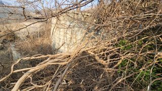 서초농원님의 기타작물 · 영농일지 작성글 사진