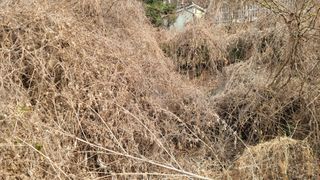 서초농원님의 기타작물 · 영농일지 작성글 사진