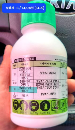 kia1588님의 귤 · 영농일지 작성글 사진