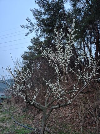 행복하게~님의 기타작물 · 영농일지 작성글 사진