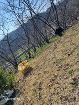 김 기 동님의 작성글 사진