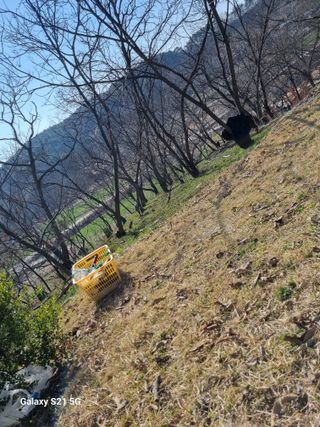 김 기 동님의 기타작물 · 영농일지 작성글 사진