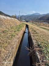 팜모닝 기타작물·영농일지 게시글 이미지