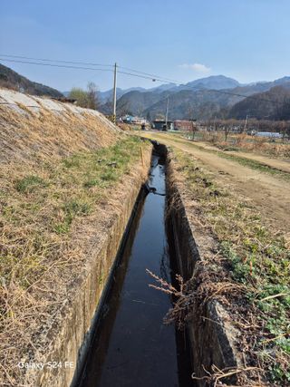 들깨18202님의 기타작물 · 영농일지 작성글 사진