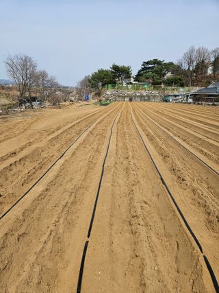 천수님의 기타작물 · 영농일지 작성글 사진