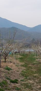 김 연님의 작성글 사진