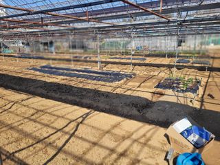 김춘성님의 기타작물 · 영농일지 작성글 사진