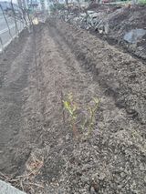 김용대님의 작성글 사진