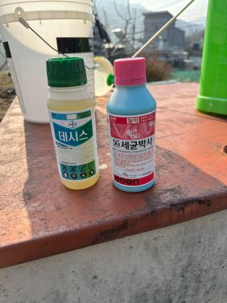 이익수님의 사과 · 영농일지 작성글 사진