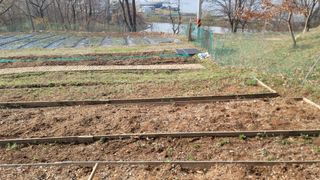 서초농원님의 기타작물 · 영농일지 작성글 사진