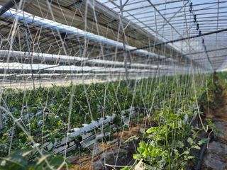 늘햇살팜 님의 기타작물 · 영농일지 작성글 사진