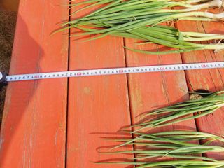 한경훈님의 기타작물 · 영농일지 작성글 사진