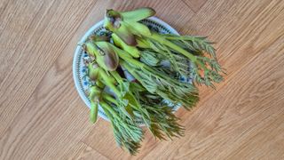 촌사리(김정대)님의 작성글 사진