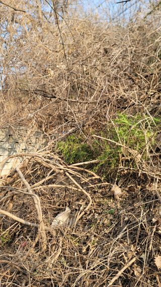 서초농원님의 기타작물 · 영농일지 작성글 사진