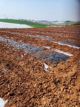 김저팔계님의 작성글 사진