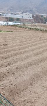 김 연님의 작성글 사진