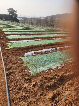 김저팔계님의 기타작물 · 영농일지 작성글 사진