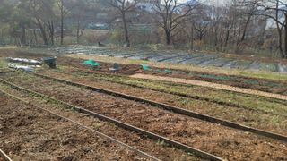 서초농원님의 기타작물 · 영농일지 작성글 사진