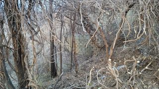 서초농원님의 기타작물 · 영농일지 작성글 사진