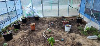 귤8352님의 블루베리 · 영농일지 작성글 사진