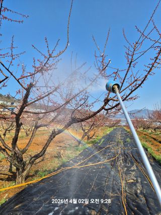 정택님의 작성글 사진